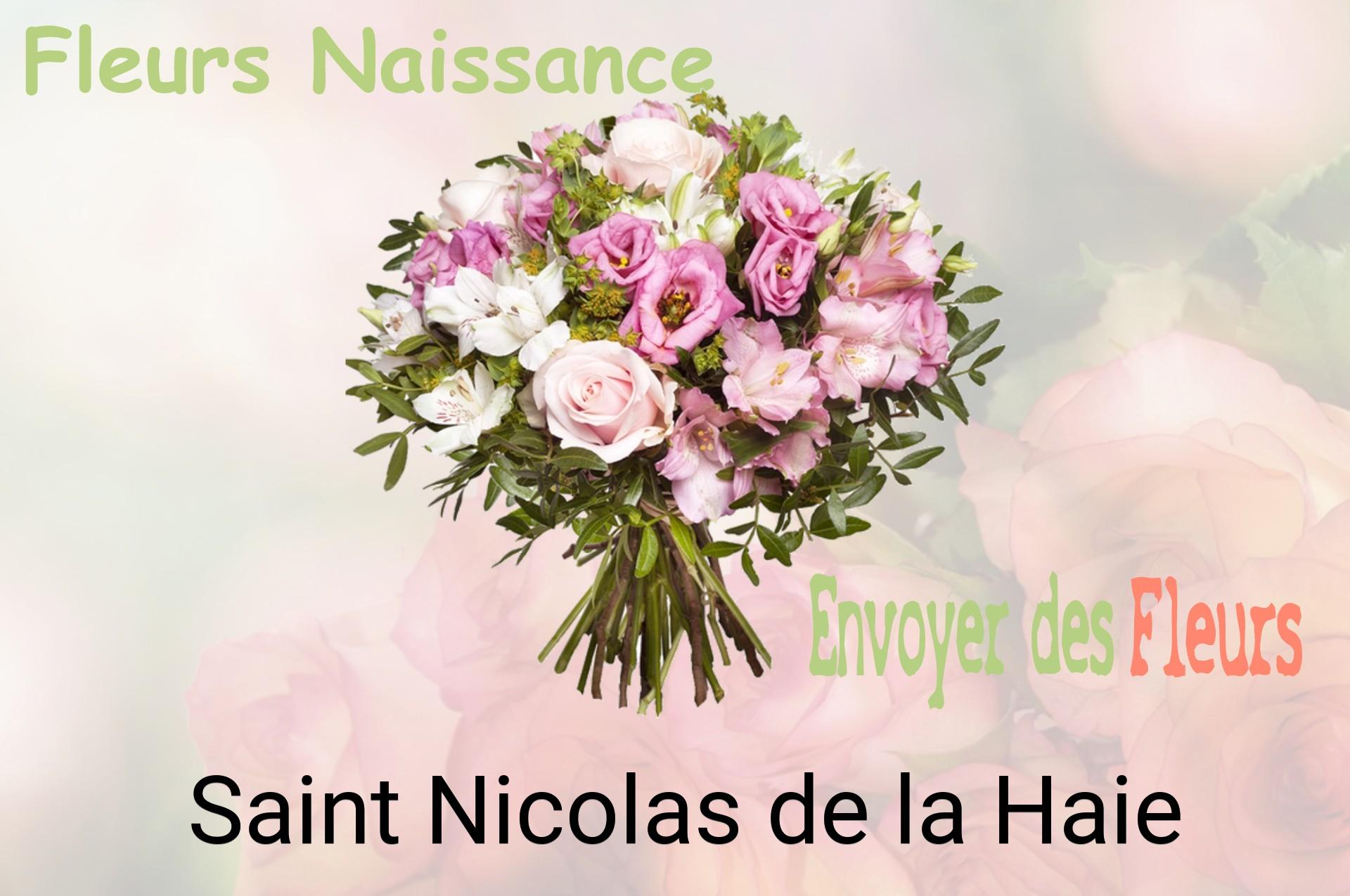 Bouquet de fleurs de naissance livré à Saint-Nicolas-de-la-Haie